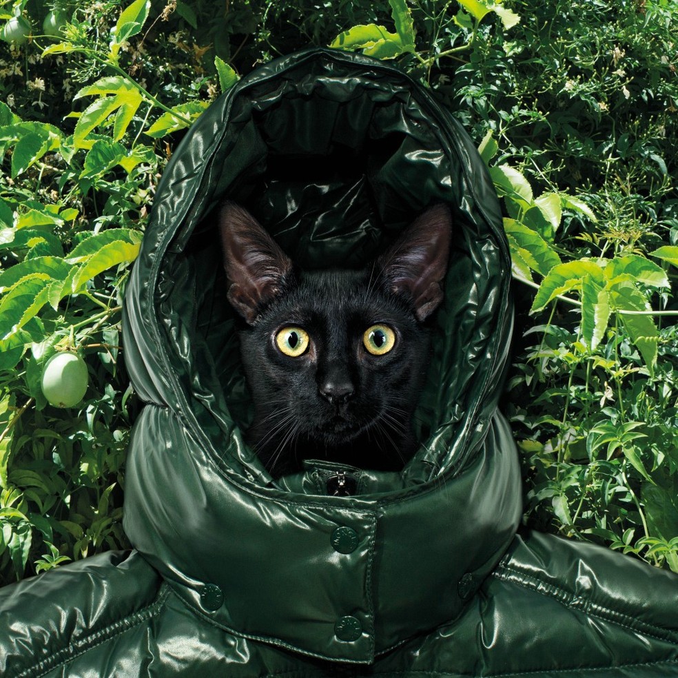Doudoune moncler outlet hoodie