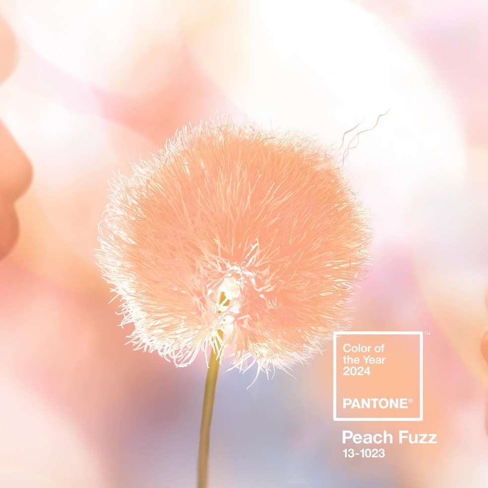 Como usar Peach Fuzz, a cor do ano de 2024 eleita pela Pantone, na  maquiagem, Beleza