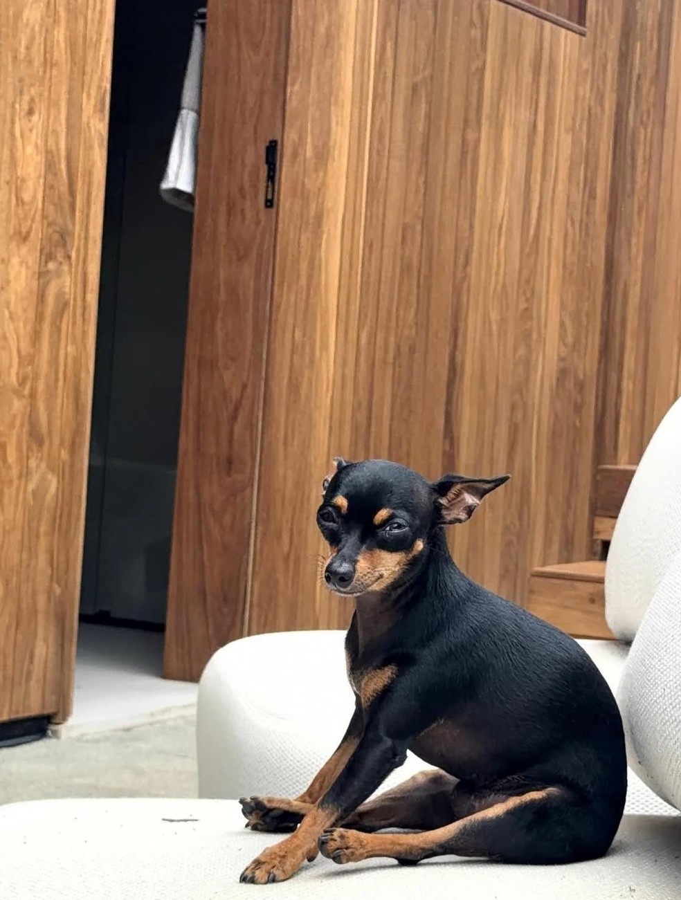 Ana Castela faz post — Foto: Reprodução/Instagram