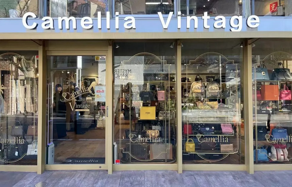 Camellia Vintage — Foto: Divulgação