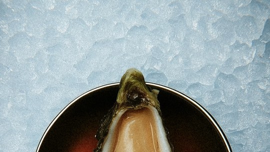 Por dentro do Nudo, novo restaurante de Pierre Schrager em Pinheiros Por dentro do Nudo, novo restaurante de Pierre Schrager em Pinheiros