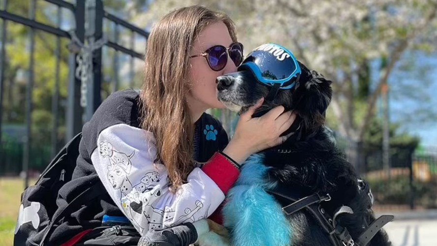 Vídeo de cachorro salvando tutora portadora de síndrome rara viraliza na  web, Atualidades