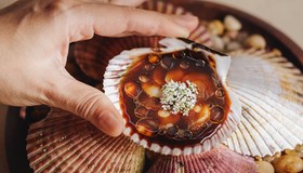 Os melhores de 2025: destinos, sabores e experiências eleitos pelo time Vogue