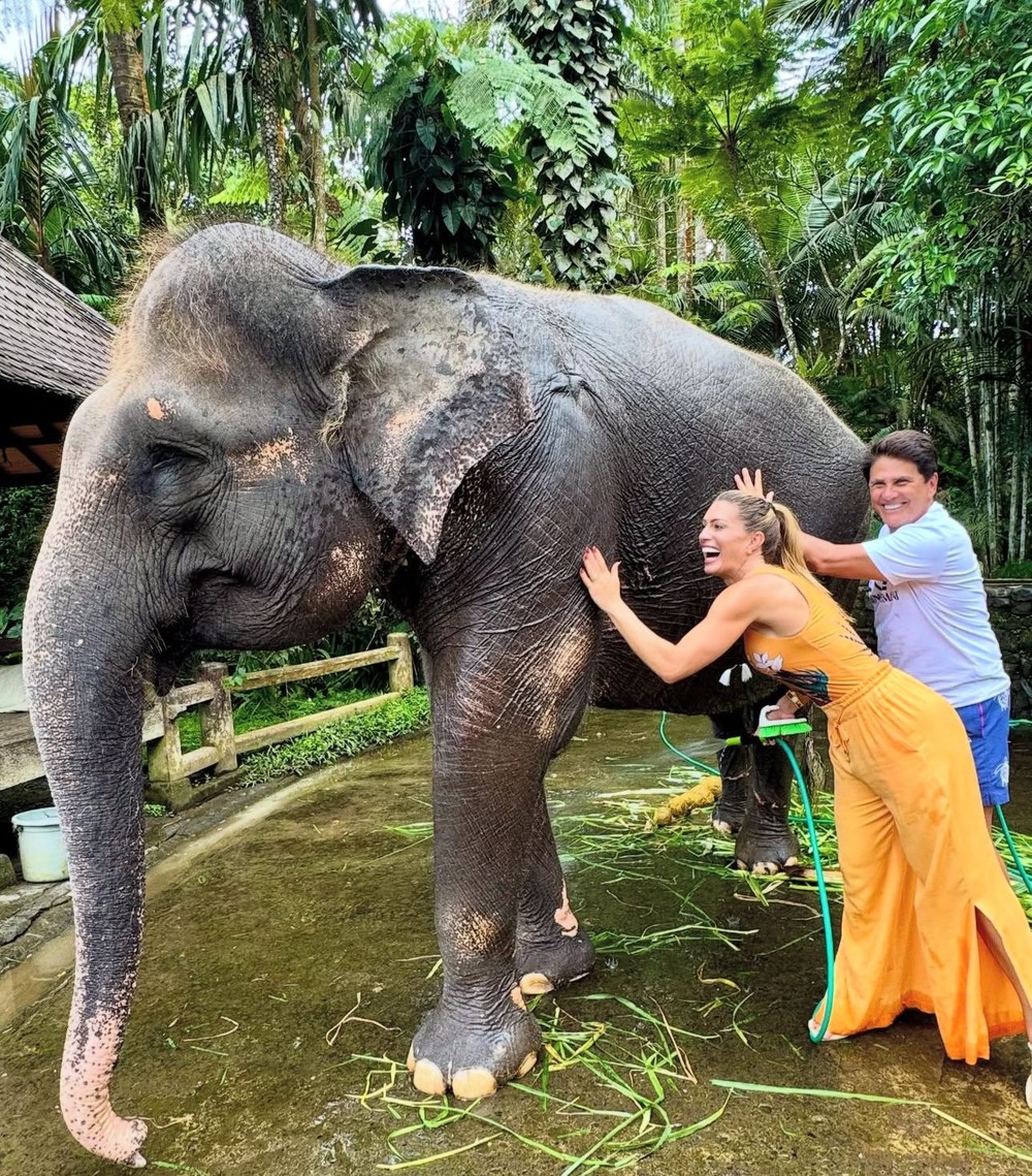 Elaine Mickely e Cesar filho cuidam de elefantes na Indonésia
