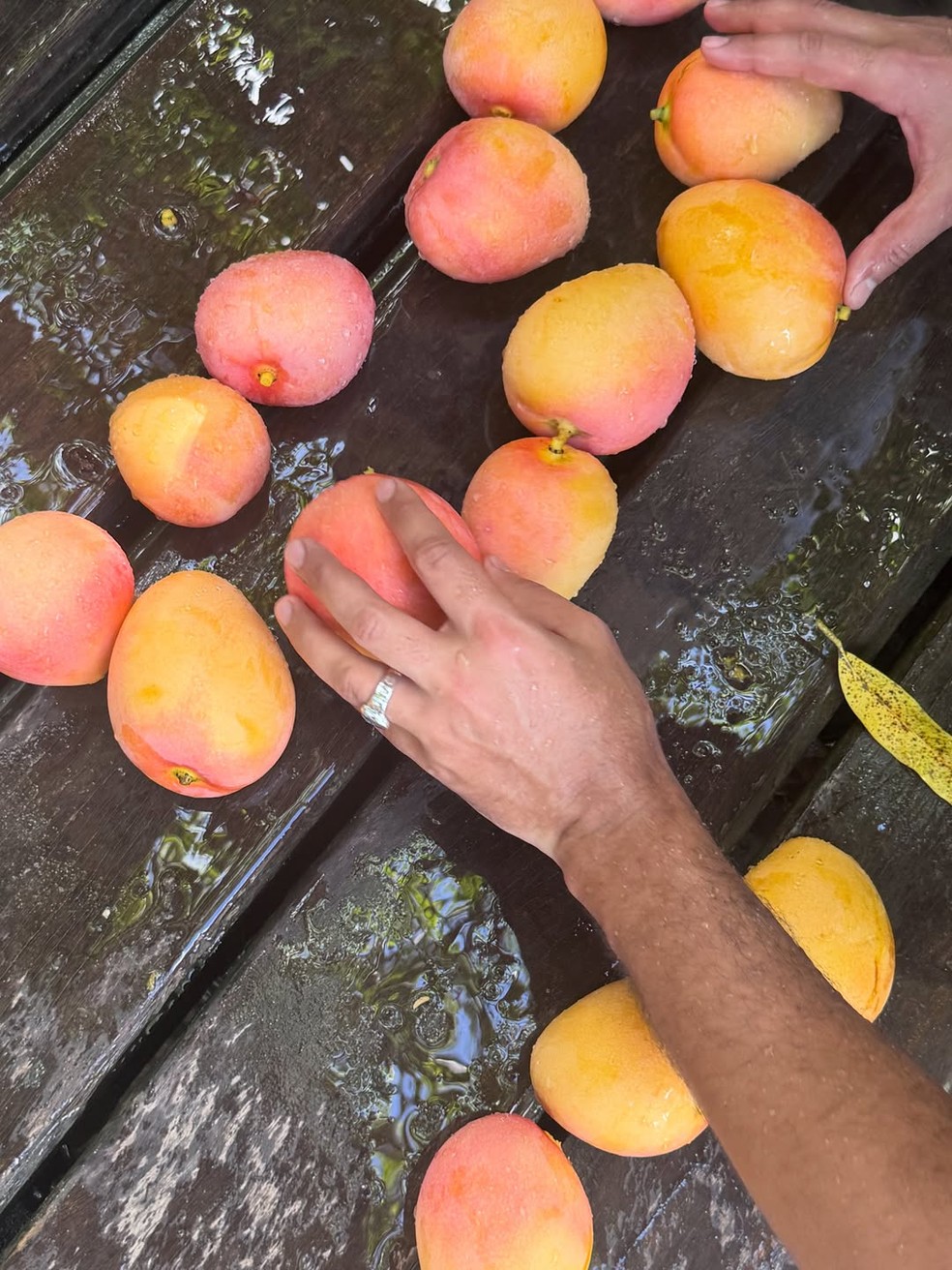 Yasmin Brunet exibe cliques de viagem — Foto: Reprodução/Instagram