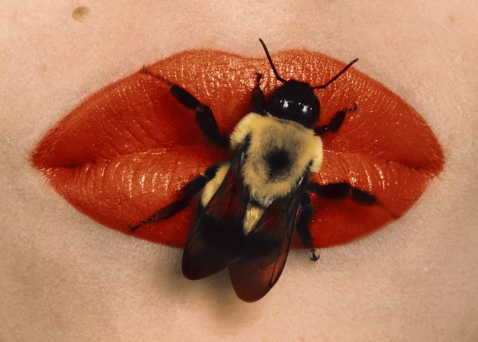 Bee on Lips, New York, 1995 — Foto: Divulgação