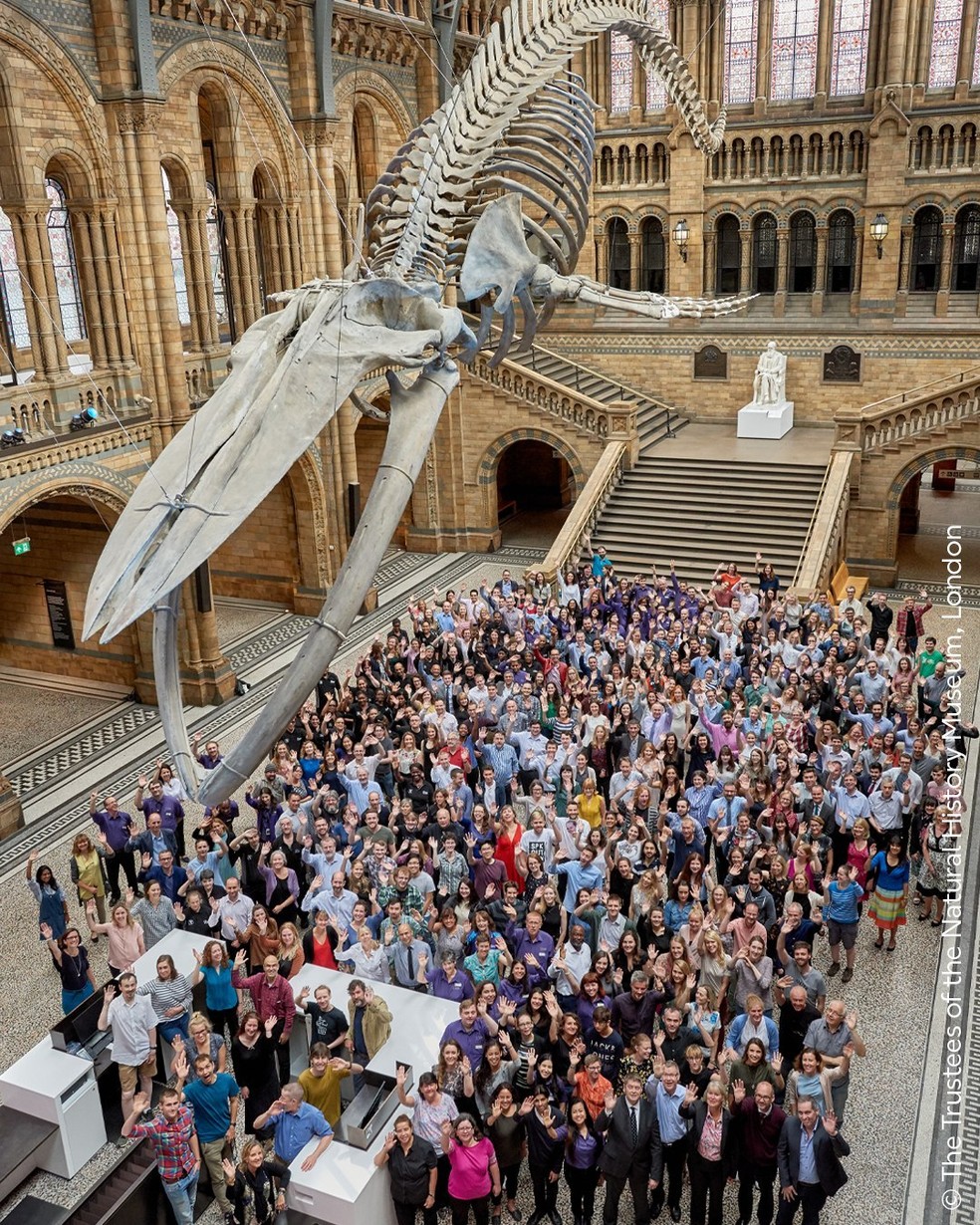 Museu de História Natural de Londres — Foto: Reprodução/Site Oficial