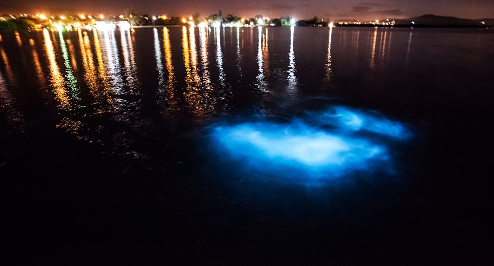 Luminous Lagoon, Jamaica — Foto: Getty Images