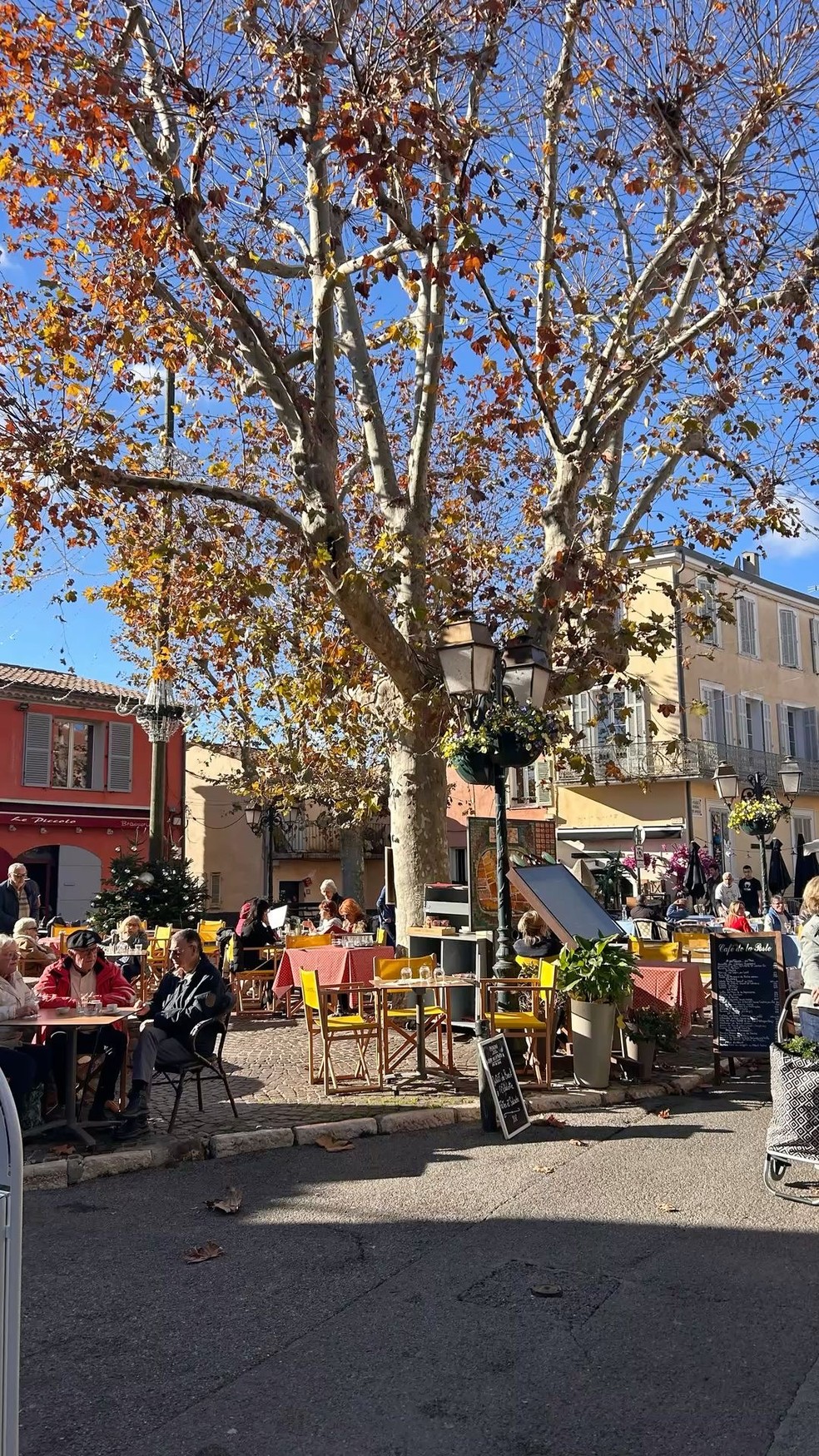 Biot — Foto: Acervo Pessoal