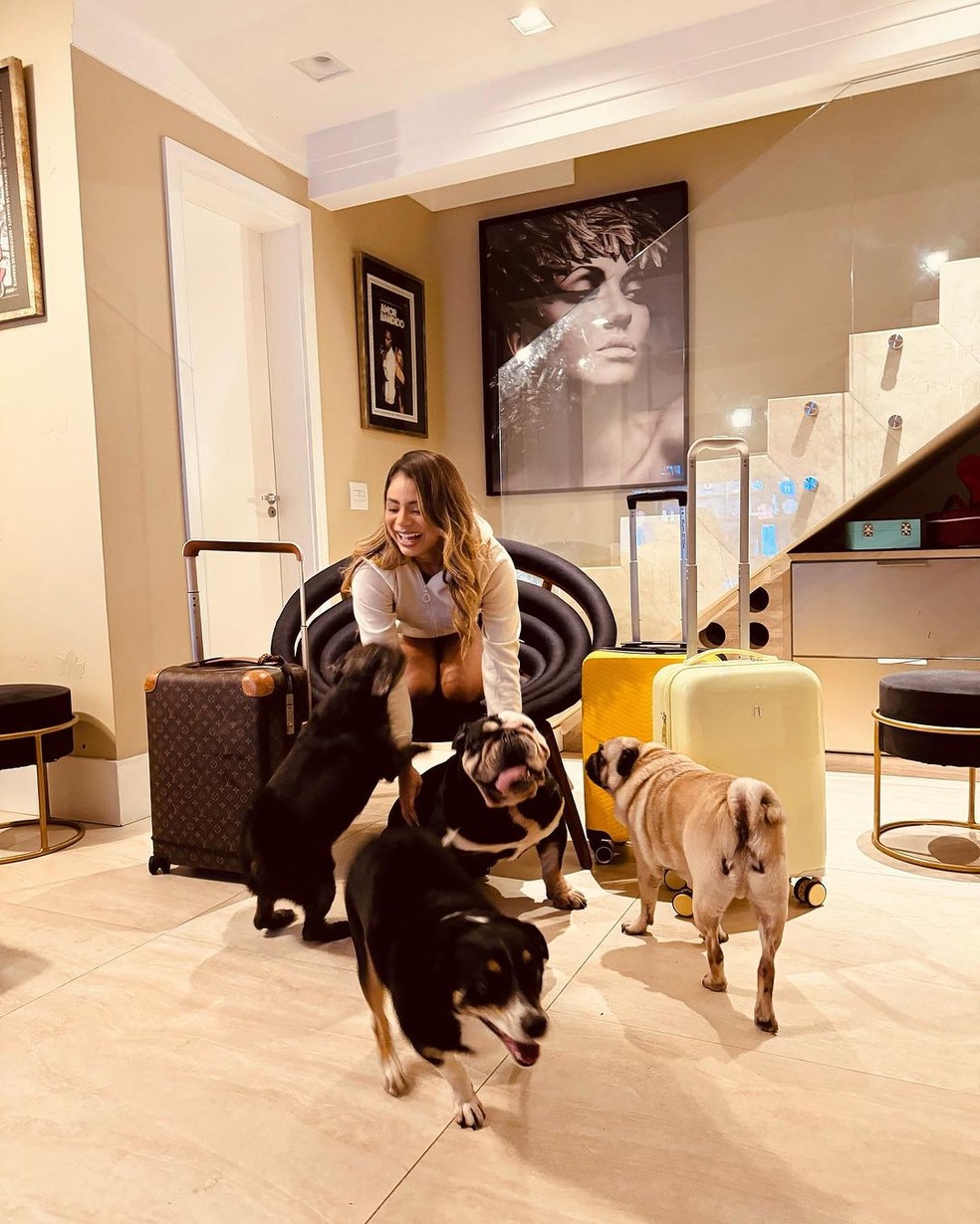 Lexa e seus quatro cachorros: Simpático, Contente, daOrinha e Pode crê — Foto: Reprodução/Instagram