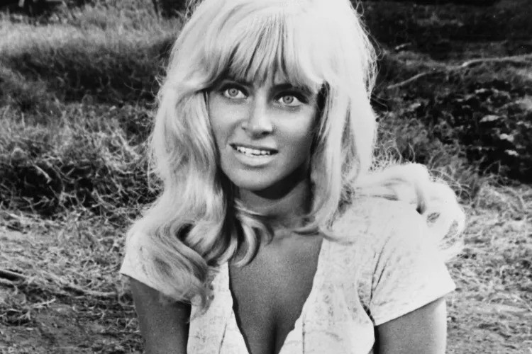 Ex-estrela de “Rebeldia Indomável” que trocou Hollywood pela confeitaria e morre aos 87 anos