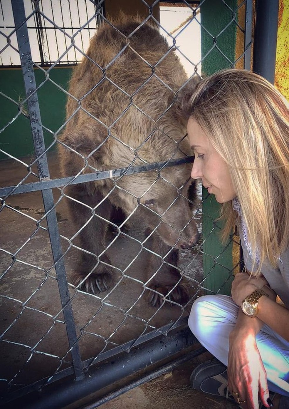Morre Rowena, ursa que inspirou livro de Rita Lee Celebridades Vogue