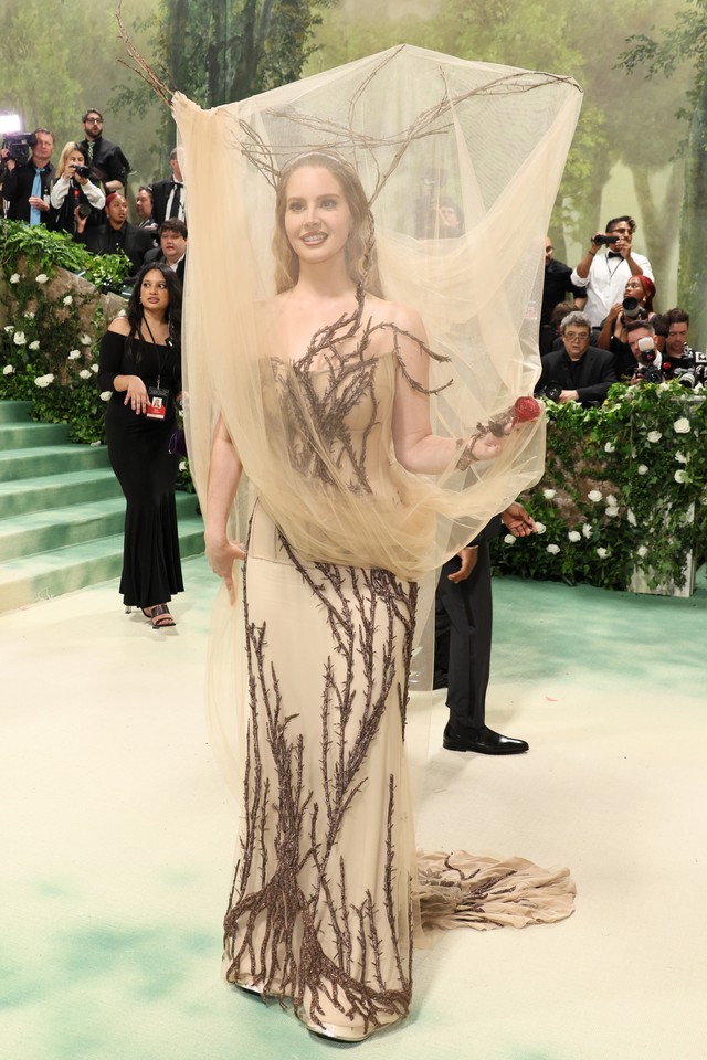 Lana Del Rey surge com vestido de galhos e véu cobrindo o rosto no MET