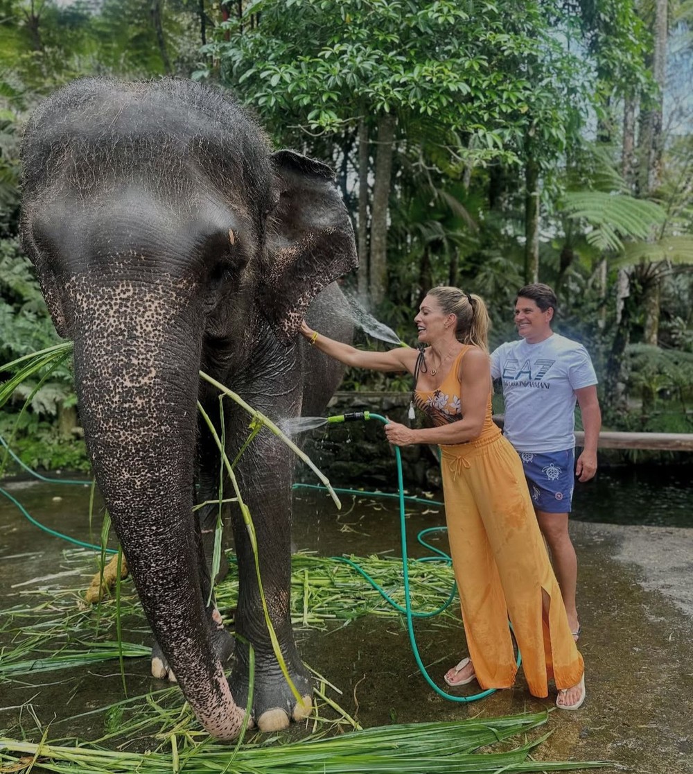 Elaine Mickely e Cesar filho cuidam de elefantes na Indonésia