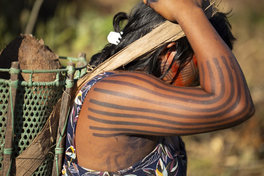 How the bioeconomy can boost socio-biodiversity and Brazilian fashion