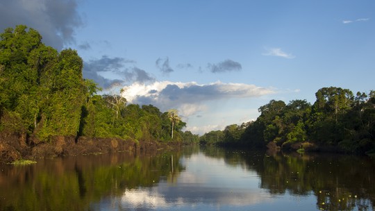 As surpresas naturais de um cruzeiro pelo rio Amazonas