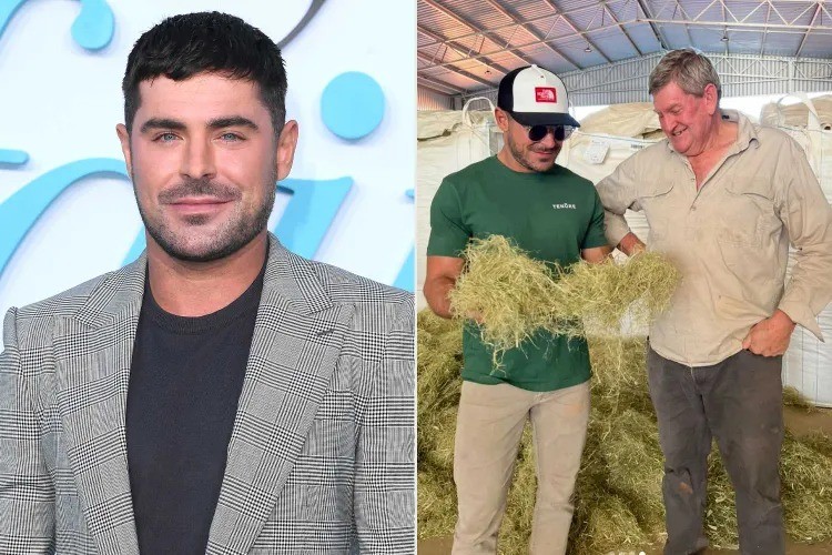 Zac Efron investe em projeto inovador e constrói m