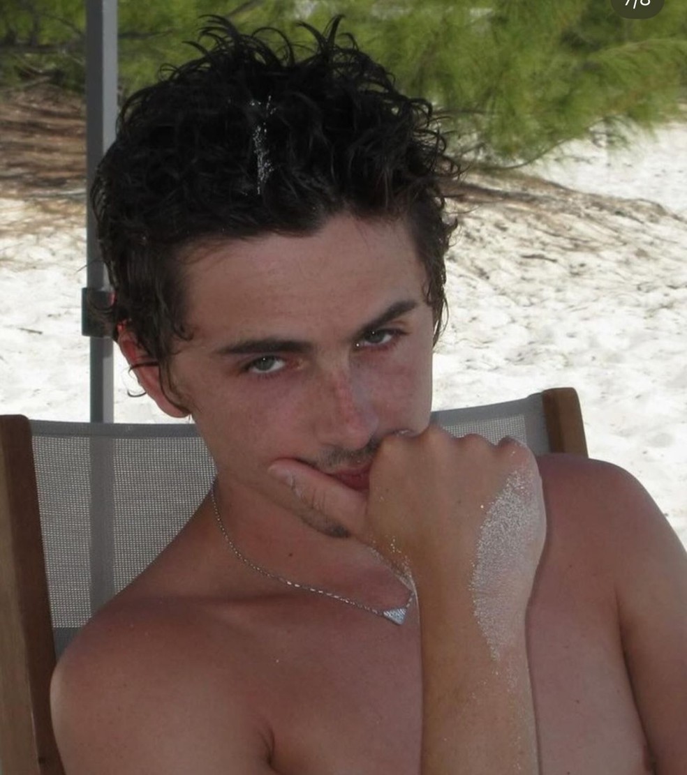 Timothée Chalamet e Kylie Jenner postam cliques de férias — Foto: Reprodução/Instagram