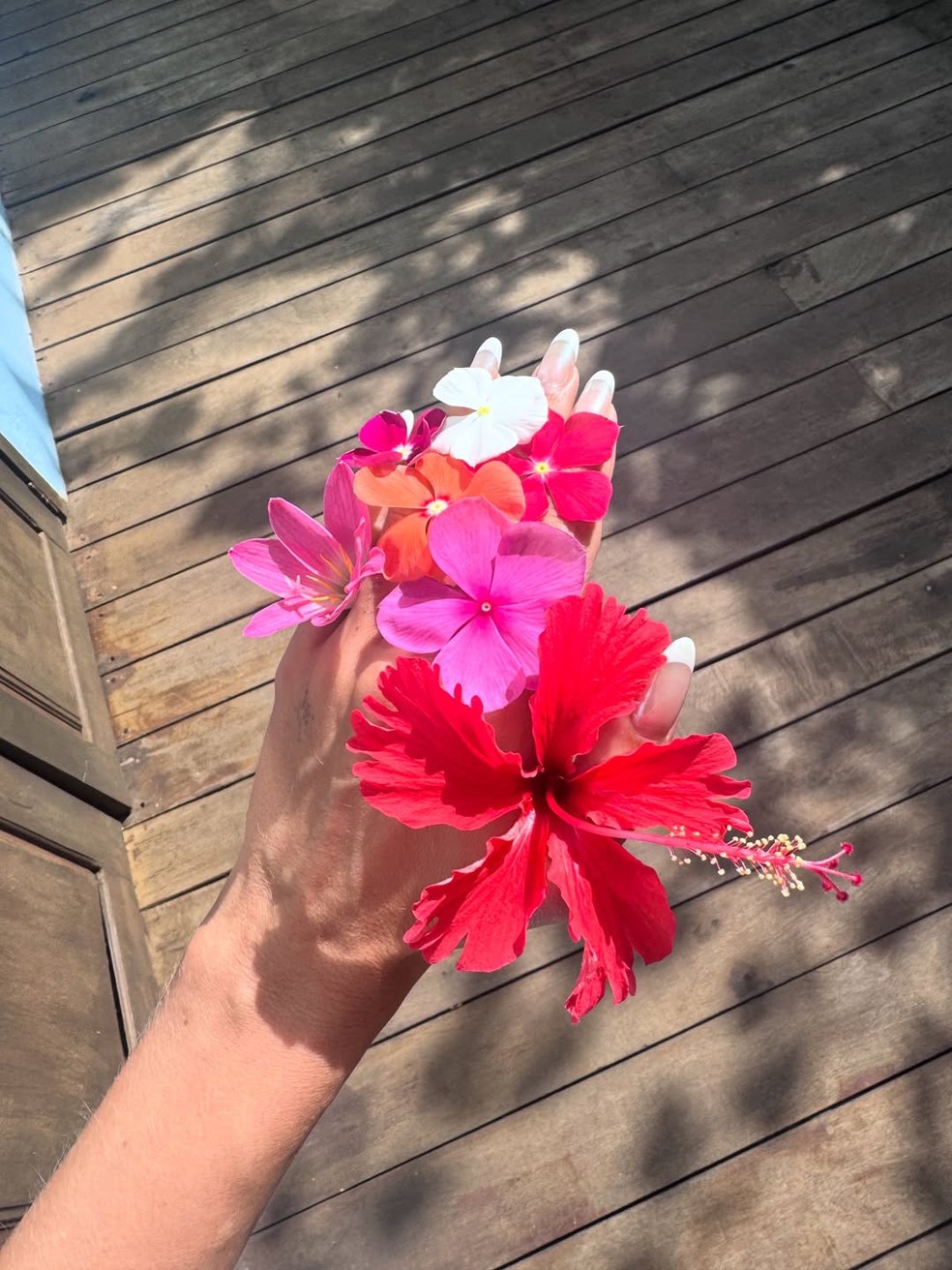 Yasmin Brunet exibe cliques de viagem — Foto: Reprodução/Instagram