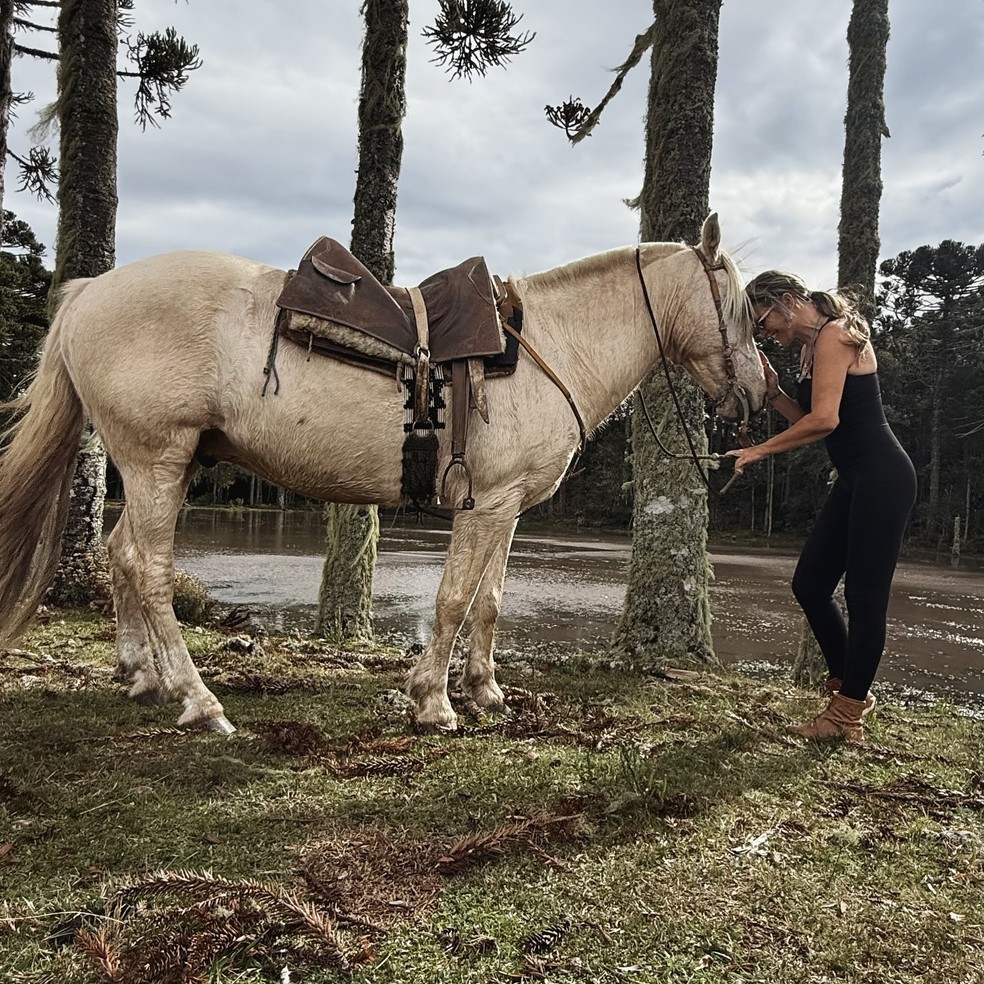 Katia Aveiro faz charme ao fazer ensaio com cavalo — Foto: reprodução/instagram