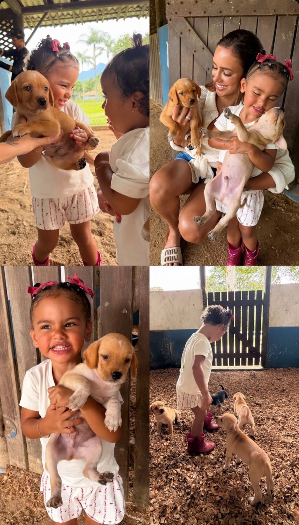 Bruna Biancardi exibe momento fofo de Mavie interagindo com cachorros durante passeio — Foto: Reprodução/Instagram