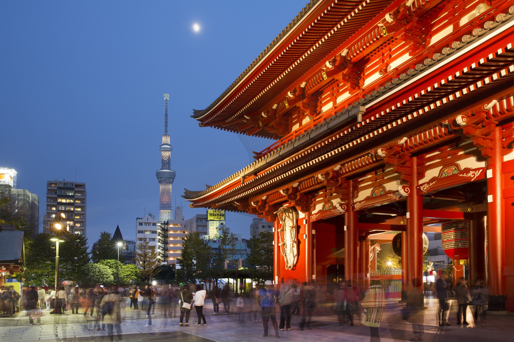 Tóquio: o que fazer, onde comer e onde se hospedar na capital japonesa