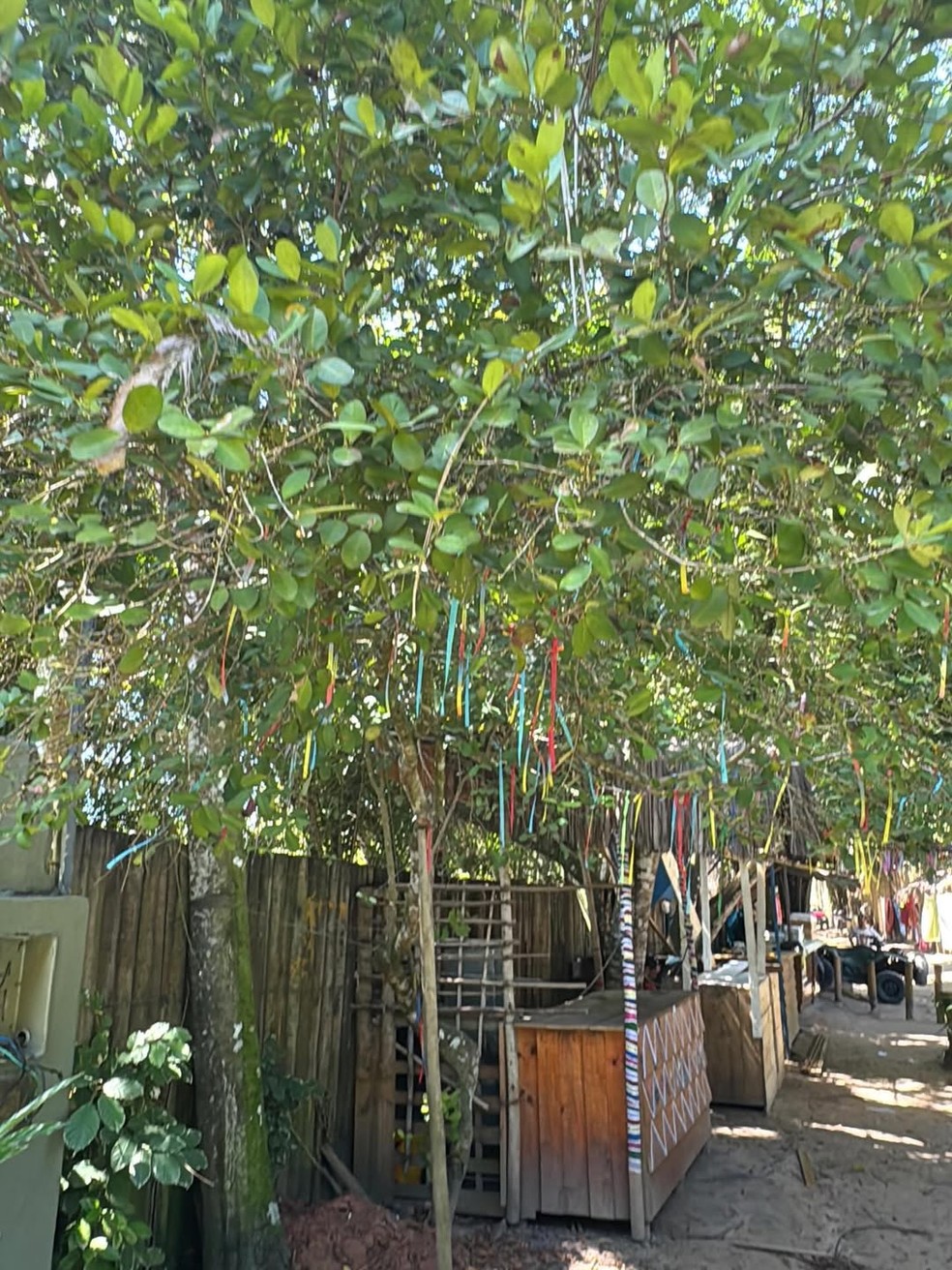 Marcus Buaiz abre álbum de fotos com Isis Valverde em Trancoso — Foto: Reprodução/Instagram