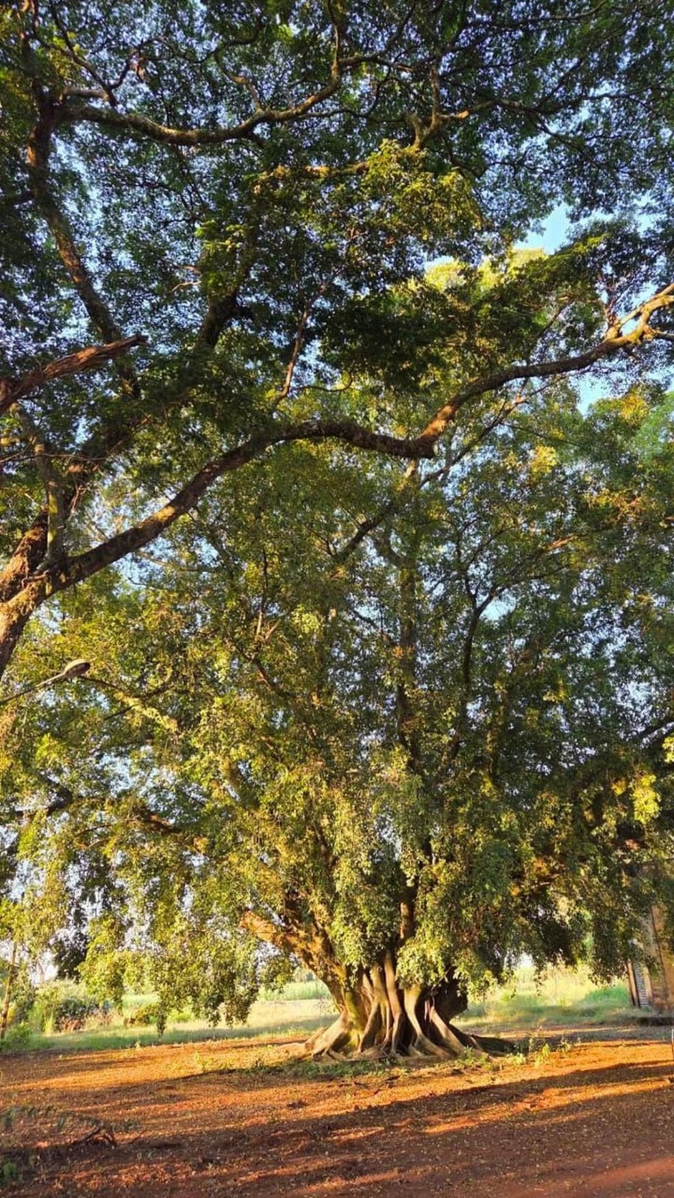 Fazenda Casa Gialla — Foto: Divulgação