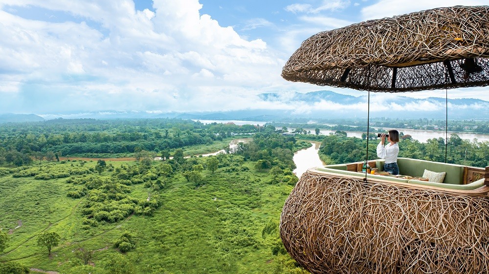 Treetop dining! 3 restaurantes instalados no topo de árvores que vão te ...