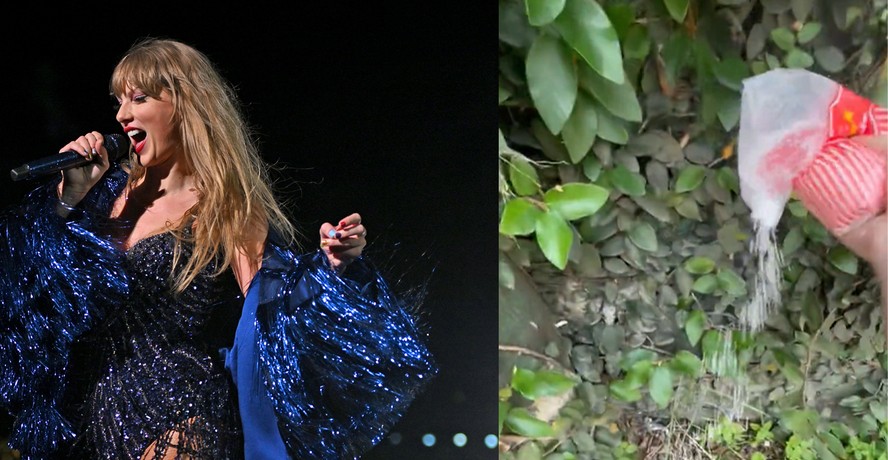 Fã de Taylor Swift joga sal grosso no Allianz Parque antes de shows da  cantora