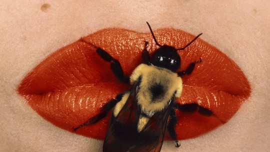 "Penn & Fashion": a maior exposição de fotografia de moda de Irving Penn abre em Paris