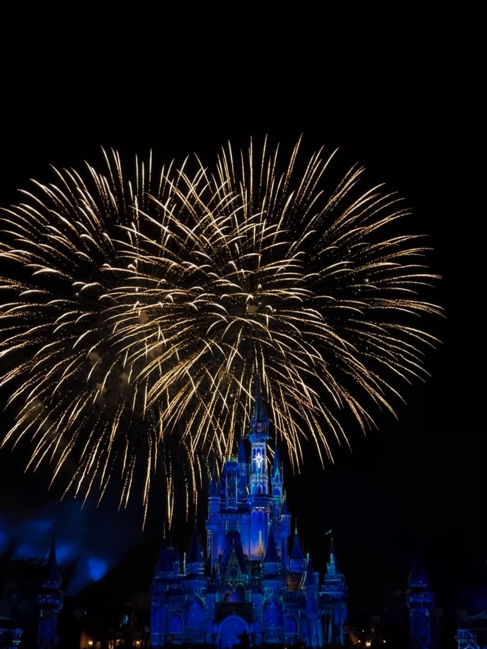 Grávida, filha de Cesar Filho e Elaine Mickely posa na Disney — Foto: Reprodução/Instagram