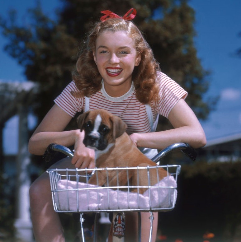 10 filmes essenciais para entender Marilyn Monroe além do mito