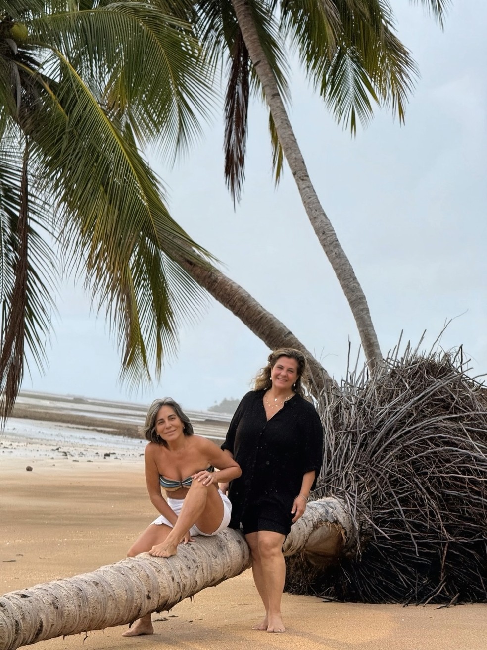 Ao lado de Orlando Morais, Gloria Pires curte passeio no Alagoas — Foto: reprodução/instagram
