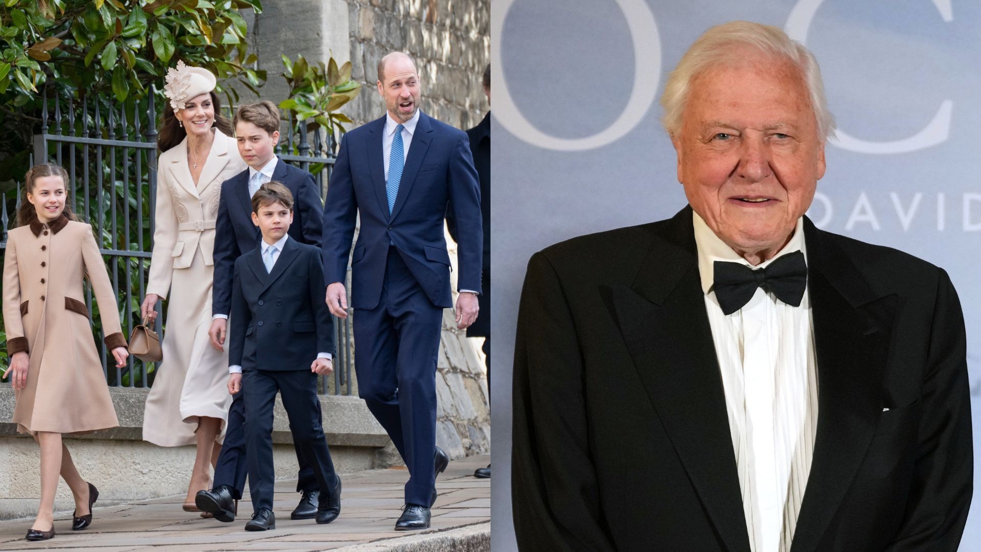 Príncipe William celebra 100 anos de David Attenborough e exalta lições do naturalista para seus filhos