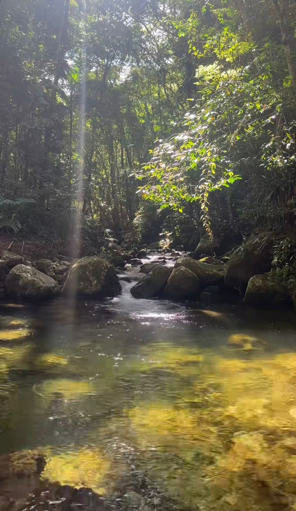 Leticia Spiller surge deslumbrante em banho de cachoeira após o Carnaval — Foto: Reprodução/Instagram