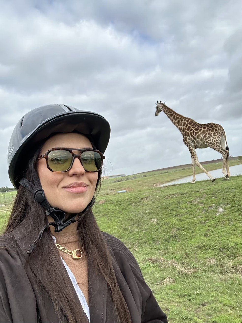 Em Stellenbosch, Amanda Cassou encontrou girafas e zebras — Foto: Acervo Pessoal
