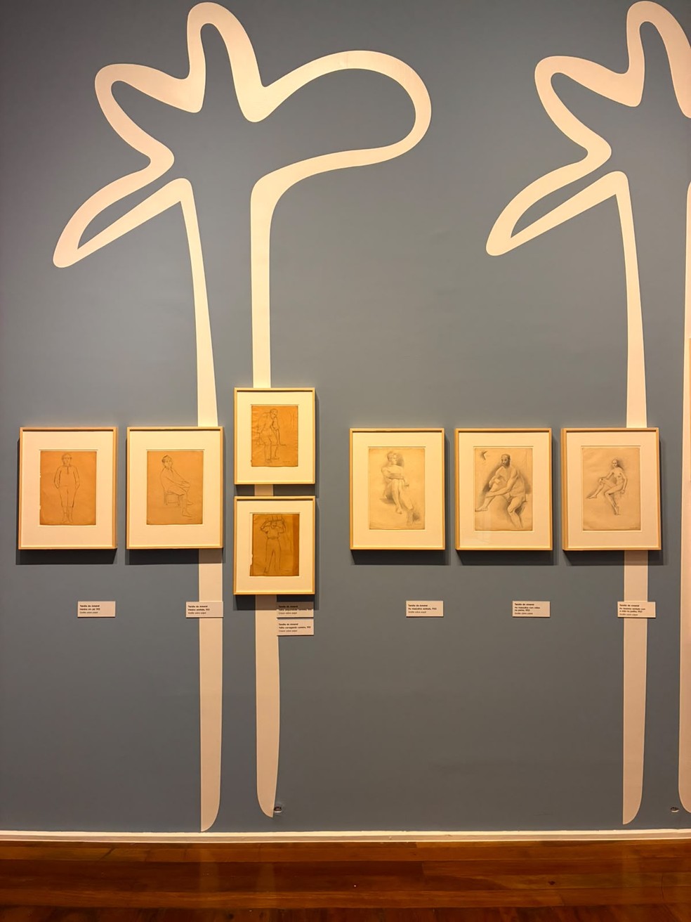 Vista de uma das salas da exposição de Tarsila do Amaral no Museu FAMA — Foto: Acervo Pessoal