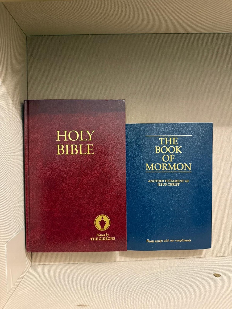 Georgina Rodríguez — Foto: reprodução/instagram