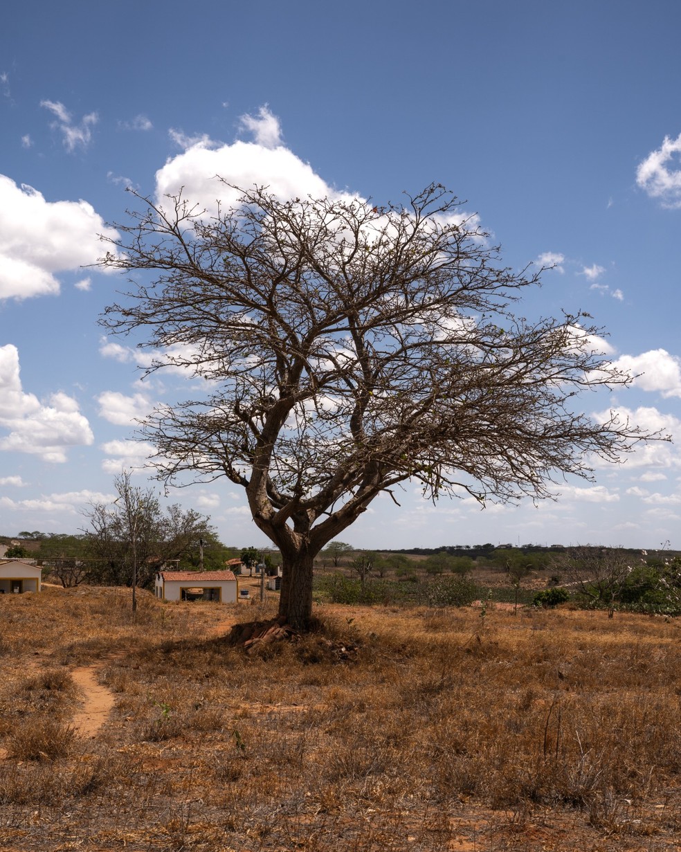 Vá com olhar aberto e disposição para se enxergar no caminho — Foto: Kant Rafael