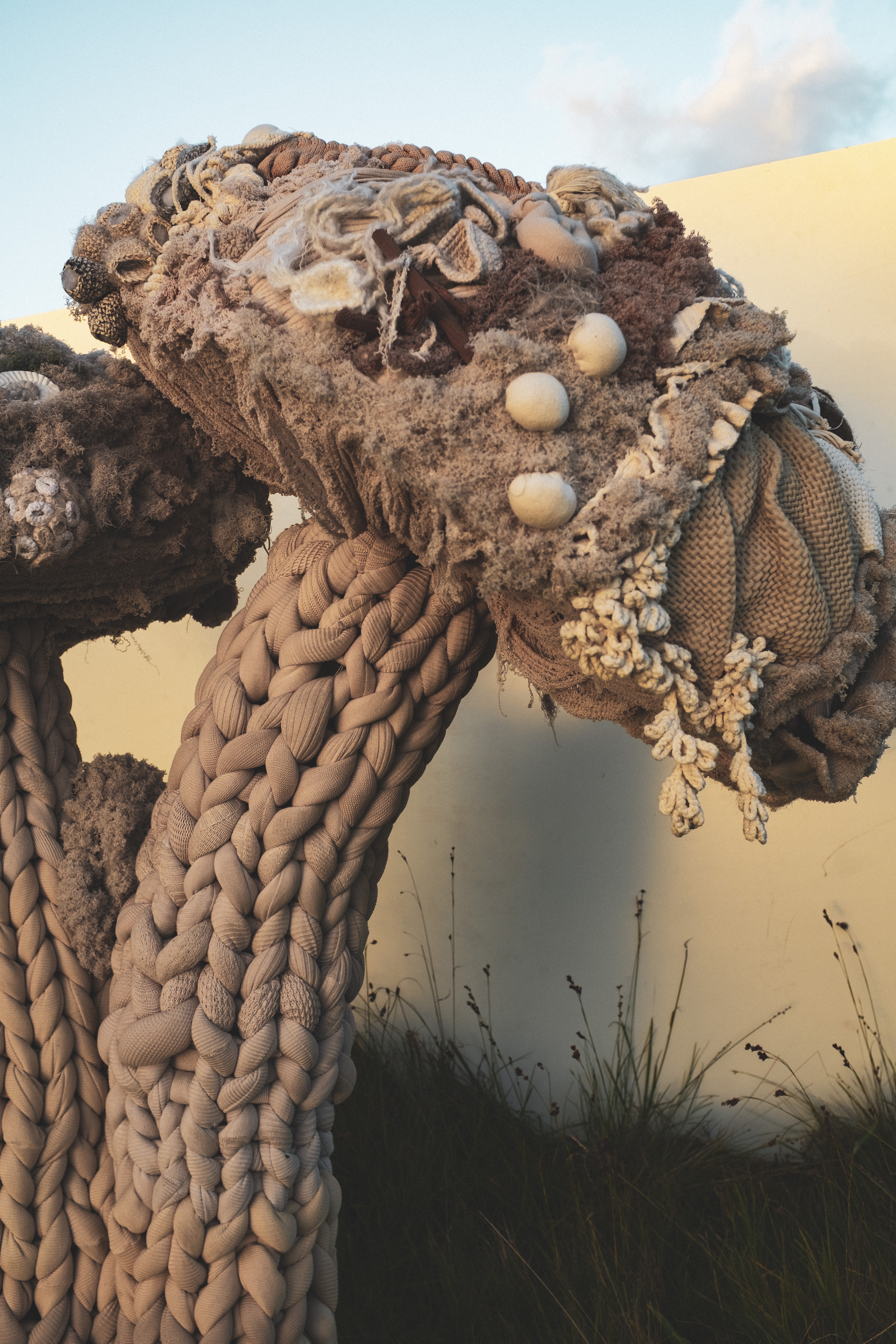Mostra imersiva “Natureza Tecida — Somos Um Único Fio” inaug