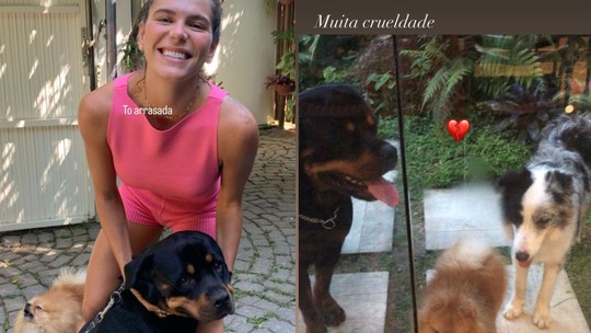 Mariana Goldfarb e Grazi Massafera lamentam morte de Romeu, cachorro de Cauã Reymond