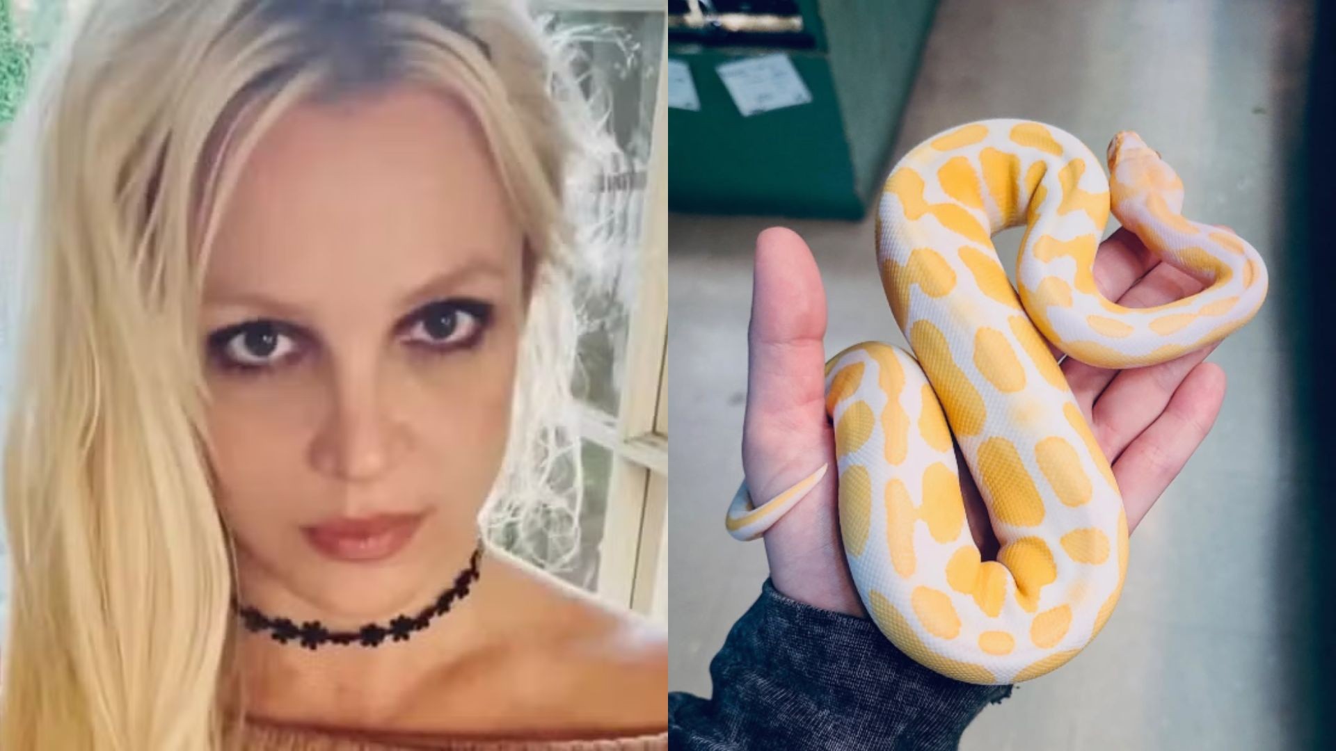 Britney Spears quebra o silêncio após sentença e celebra 