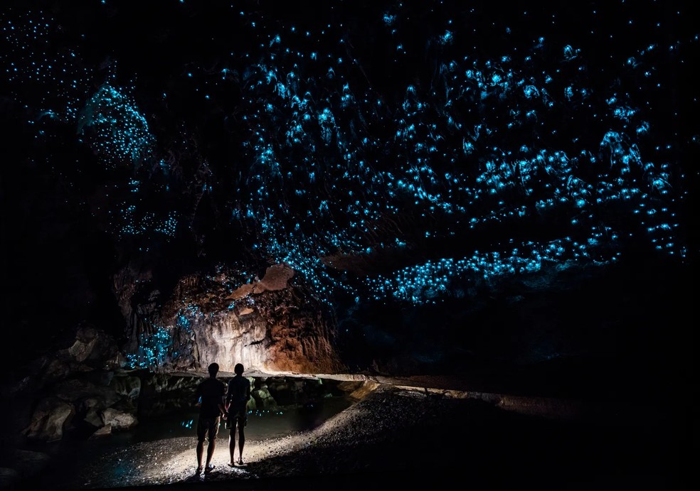 Waitomo Glowworm Caves, Nova Zelândia — Foto: Getty Images