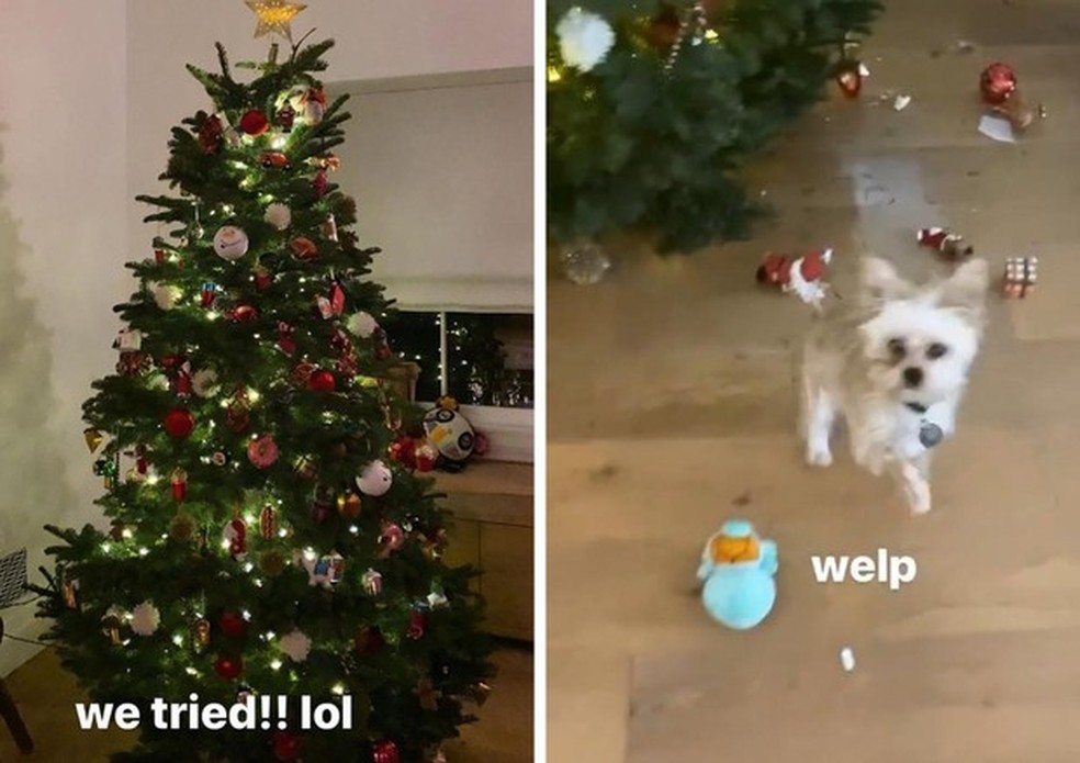 Hailey Baldwin mostra e celebra decoração divertida da sua primeira
