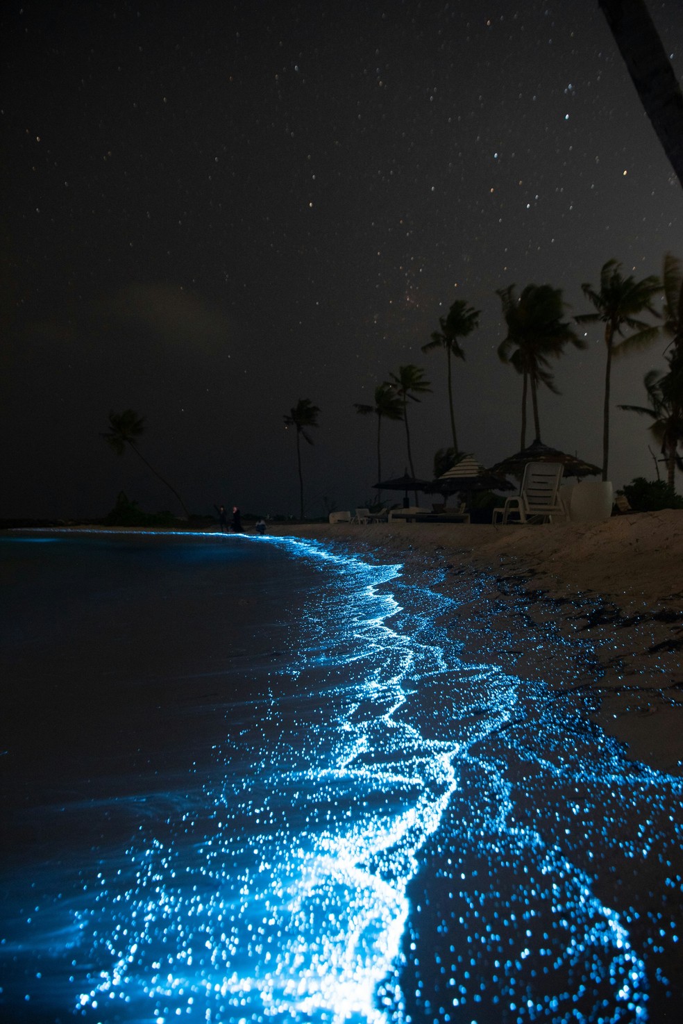 Maldivas — Foto: Ahmed Nishaath/Unsplash